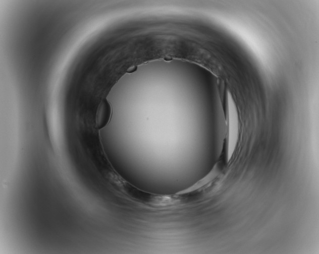 X0000093440239200710261046