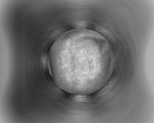 X0000093440240200710261046