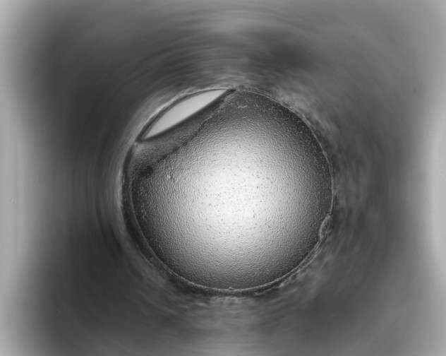 X0000093440242200710261046