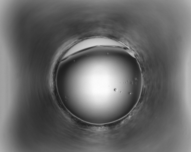 X0000093440245200710261046