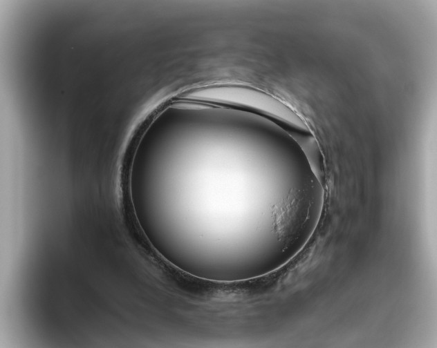 X0000093440248200710261046