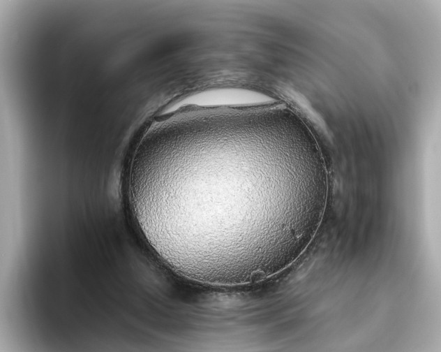 X0000093440250200710261046