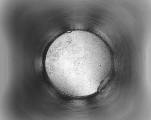 X0000093440251200710261046