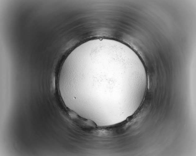 X0000093440253200710261046