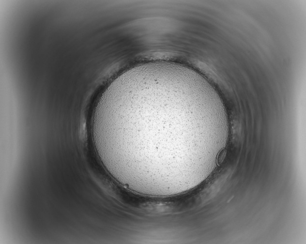 X0000093440254200710261046