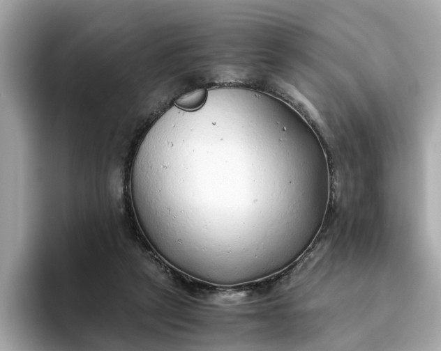 X0000093440257200710261046