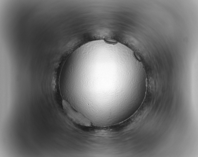 X0000093440259200710261046