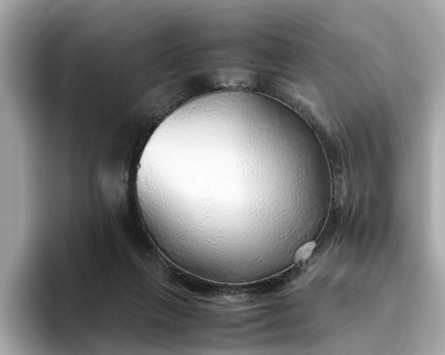 X0000093440263200710261046