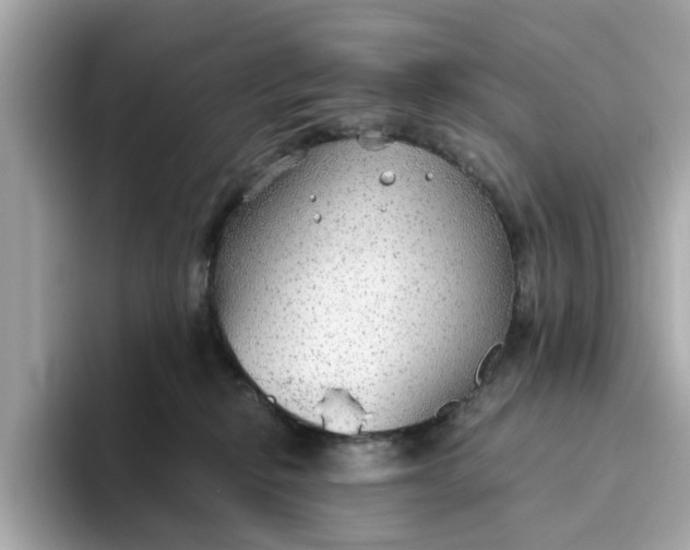 X0000093440278200710261046