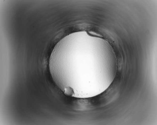 X0000093440279200710261046