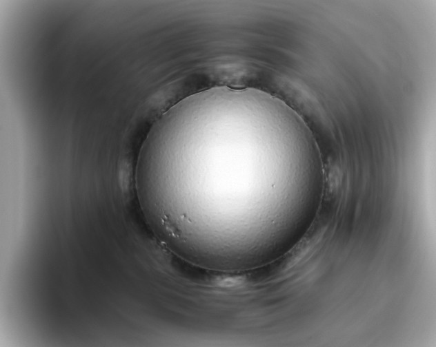 X0000093440283200710261046