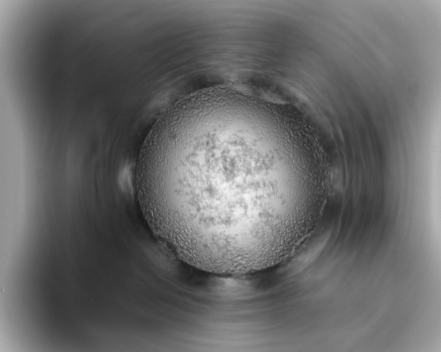 X0000093440286200710261046