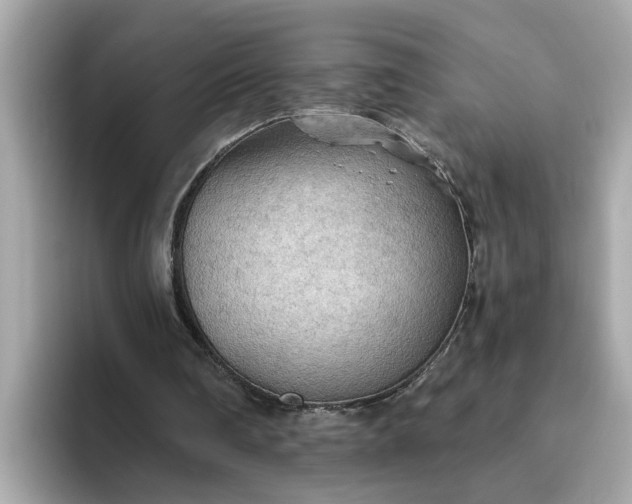 X0000093440290200710261046