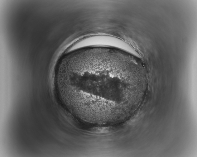 X0000093440295200710261046