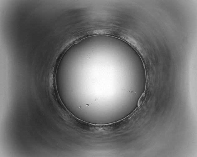 X0000093440297200710261046