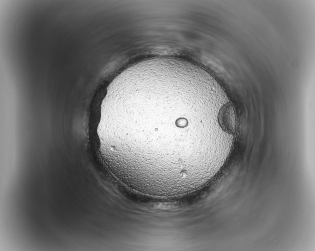 X0000093440303200710261046