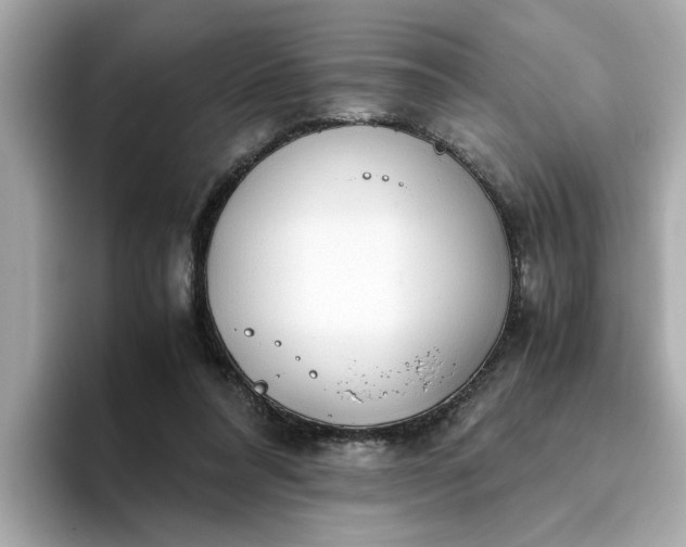 X0000093440304200710261046