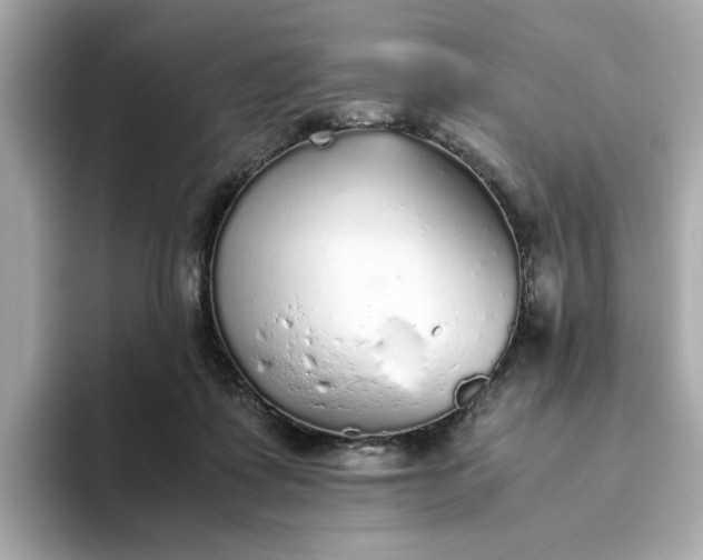 X0000093440315200710261045