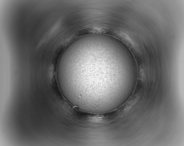 X0000093440318200710261045