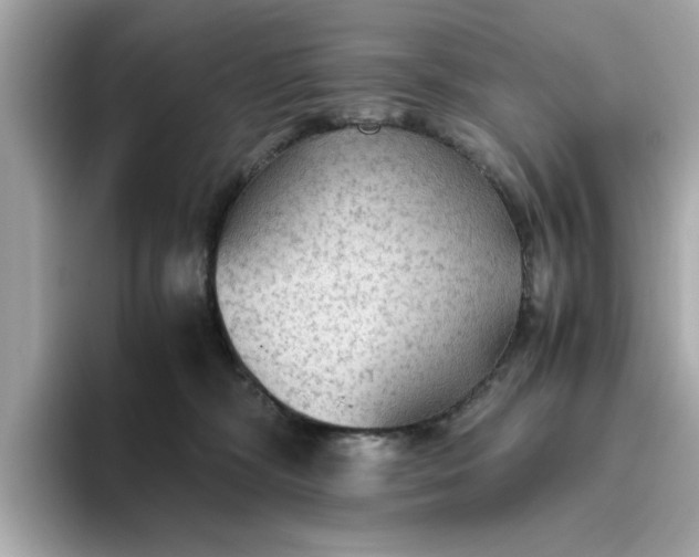 X0000093440326200710261045