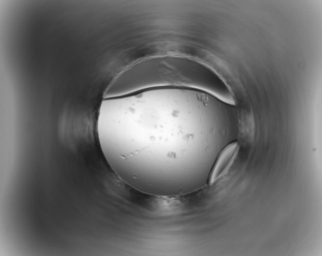 X0000093440333200710261045