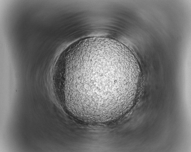 X0000093440337200710261044