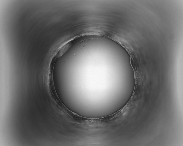 X0000093440338200710261044