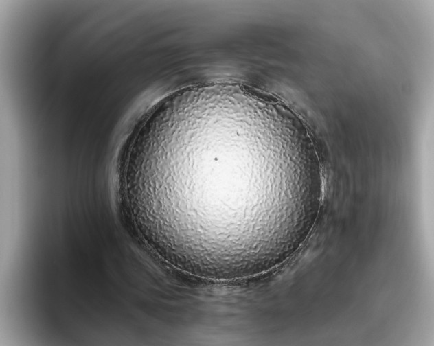 X0000093440339200710261045