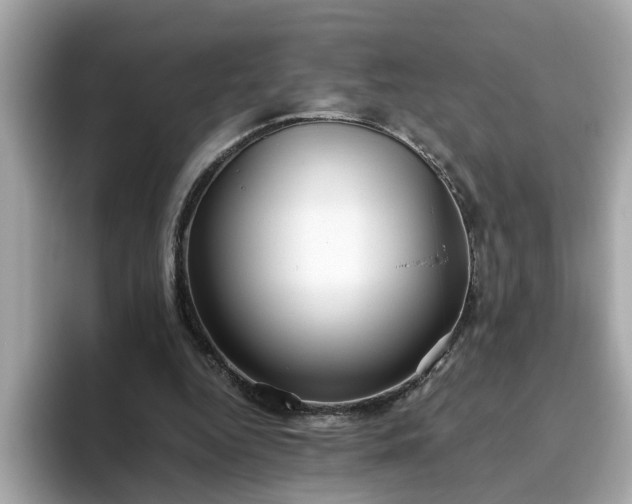 X0000093440344200710261045