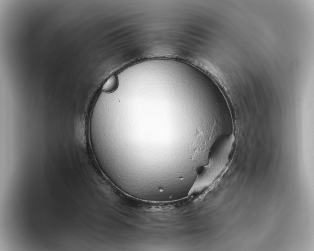 X0000093440345200710261045