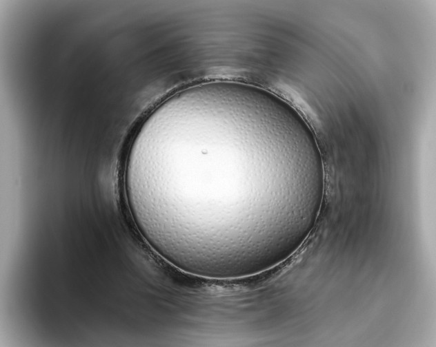 X0000093440346200710261045