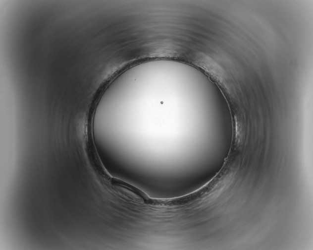 X0000093440348200710261045