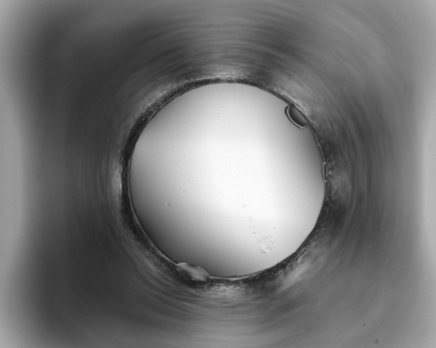 X0000093440350200710261045