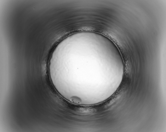 X0000093440351200710261045