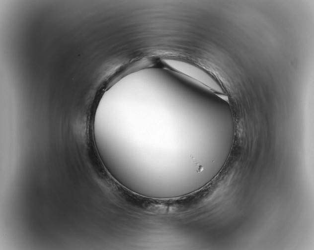 X0000093440352200710261045