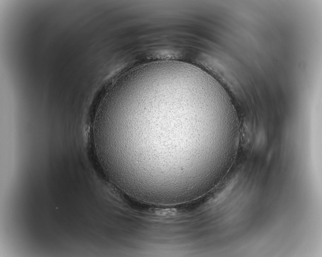 X0000093440355200710261045