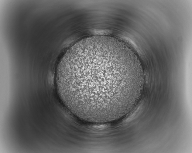 X0000093440357200710261045