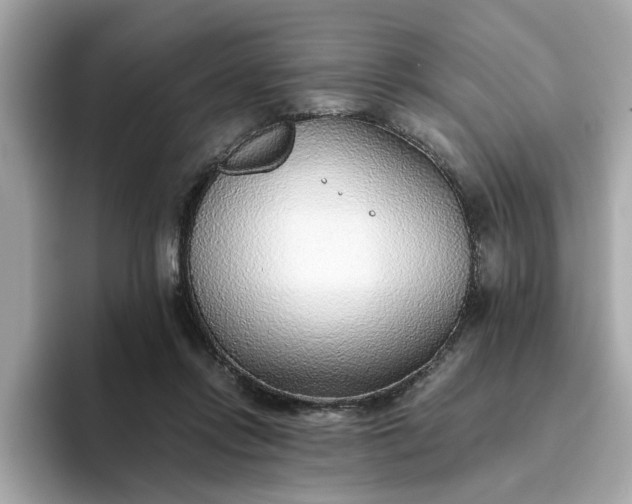 X0000093440358200710261045