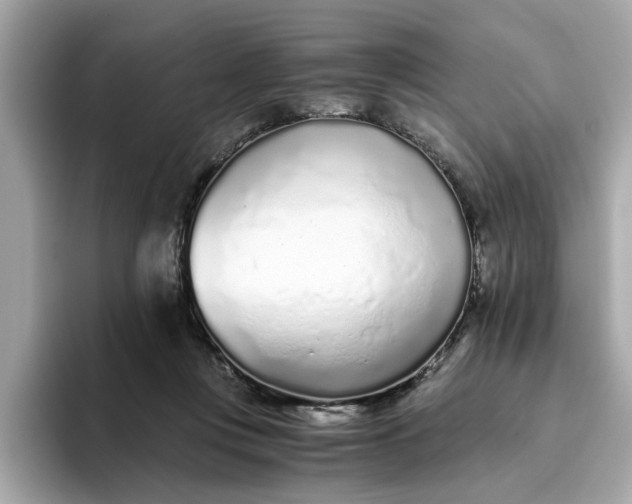 X0000093440359200710261045