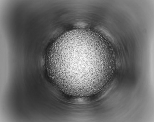 X0000093440365200710261045