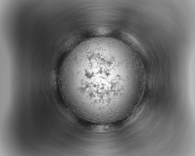 X0000093440366200710261045