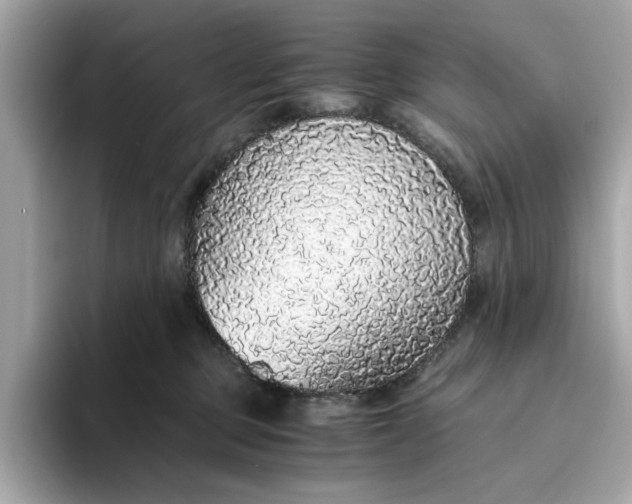 X0000093440373200710261045