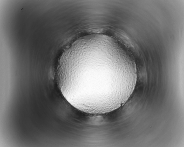 X0000093440374200710261045