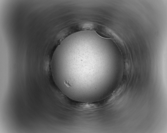 X0000093440379200710261045