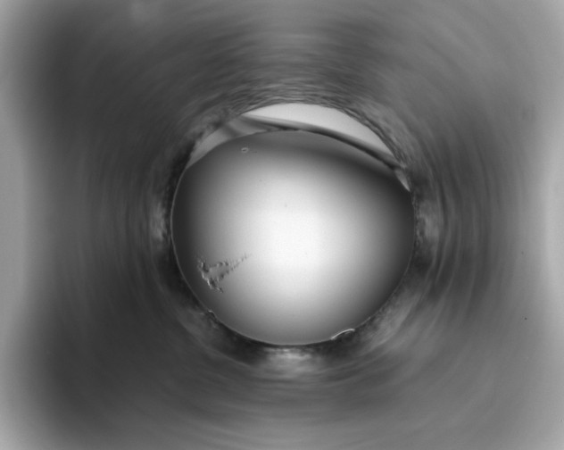 X0000093440380200710261045