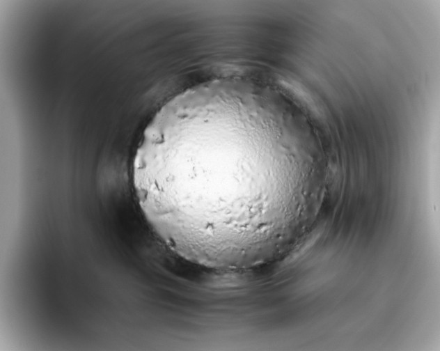 X0000093440381200710261045