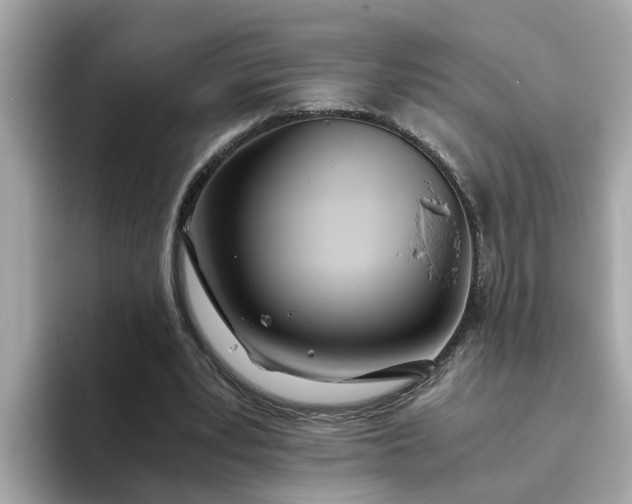 X0000093440391200710261044