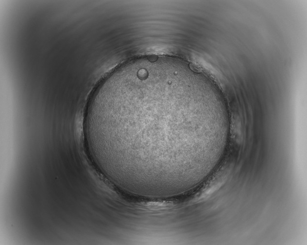 X0000093440394200710261044