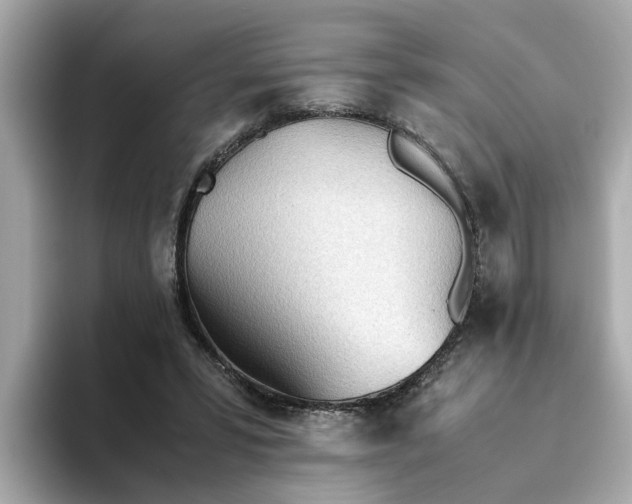 X0000093440399200710261044