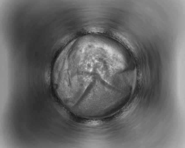 X0000093440402200710261044